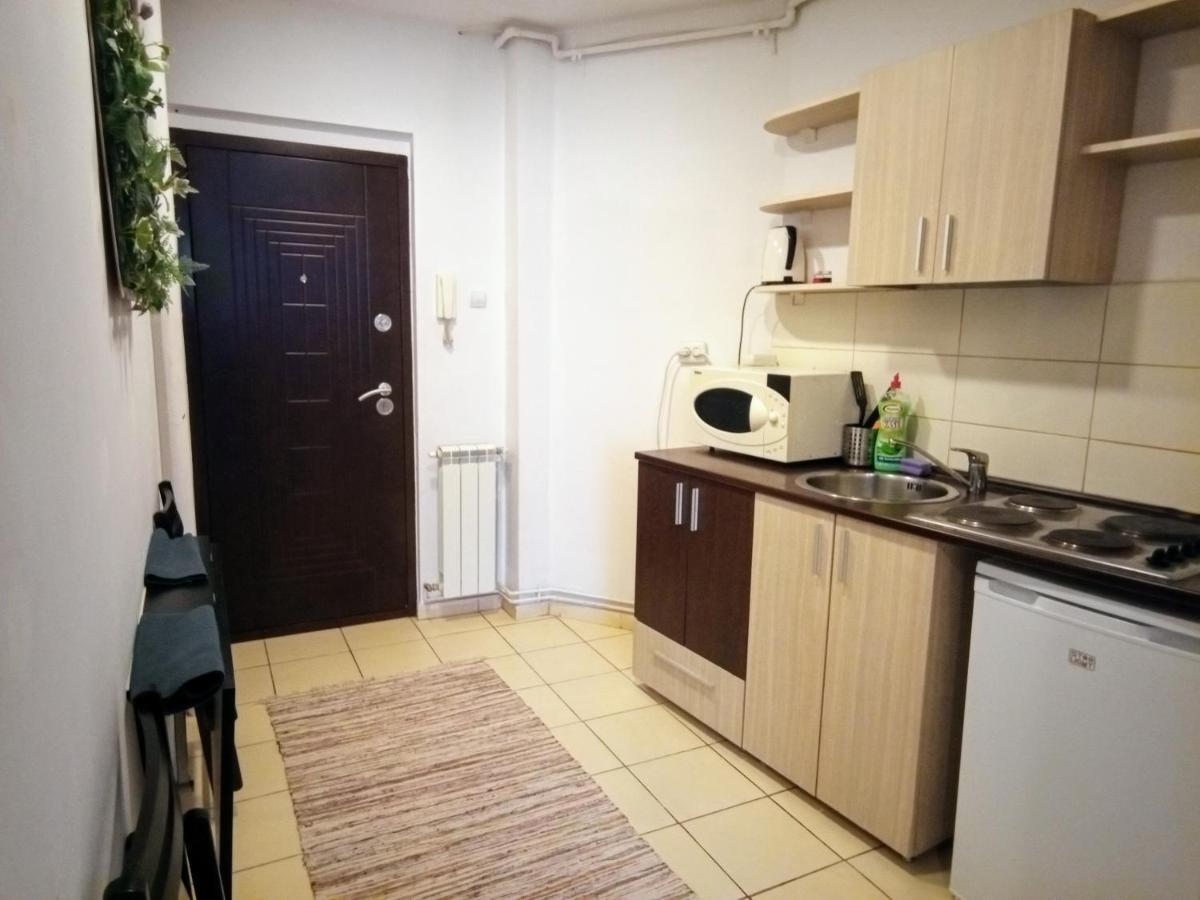 Cozy Downtown Oasis Apartment บูคาเรสต์ ภายนอก รูปภาพ